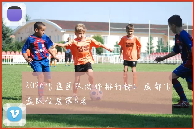 2026飞盘团队协作排行榜：成都飞盘队位居第8名