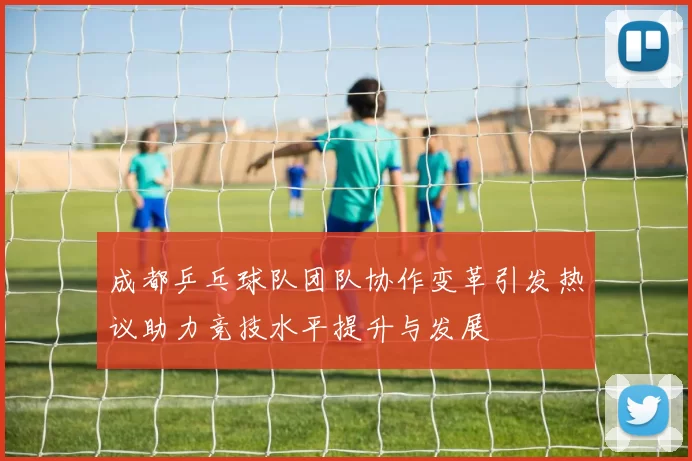 成都乒乓球队团队协作变革引发热议助力竞技水平提升与发展