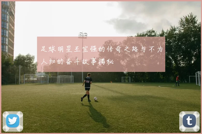 足球明星王宝强的传奇之路与不为人知的奋斗故事揭秘